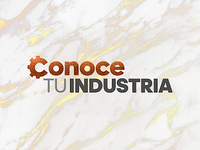 Conoce tu Industria
